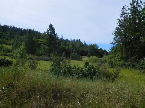 357 Rail Ln, Cave Junction, OR 97523 photo 14