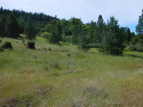 357 Rail Ln, Cave Junction, OR 97523 photo 15