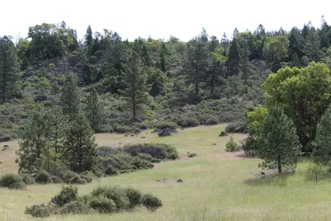 357 Rail Ln, Cave Junction, OR 97523 photo 3
