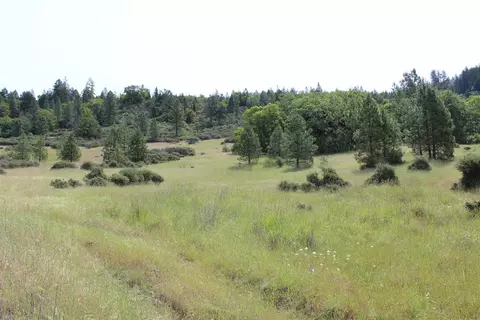 357 Rail Ln, Cave Junction, OR 97523 photo 18