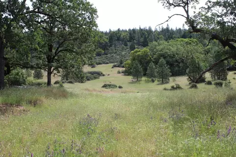 357 Rail Ln, Cave Junction, OR 97523 photo 9