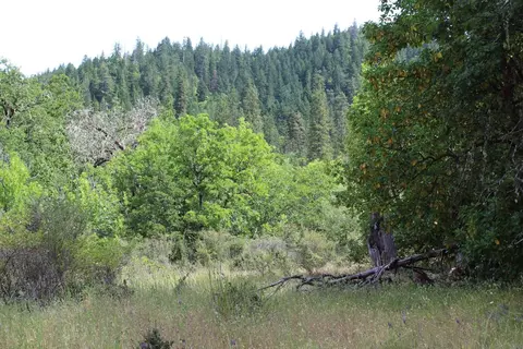 357 Rail Ln, Cave Junction, OR 97523 photo 8