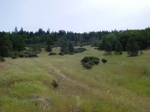357 Rail Ln, Cave Junction, OR 97523 photo 4
