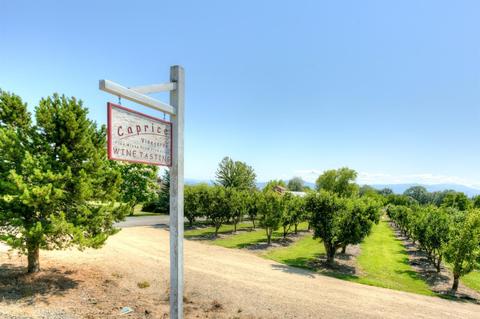 970 Old Stage Rd, Central Point, OR 97502 photo 2