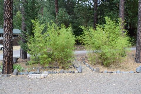 4182 Evans Creek Rd, Rogue River, OR 97537 photo 26