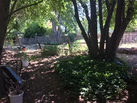 368 Otis St, Ashland, OR 97520 photo 26