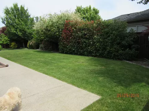 113 Bellerive Dr, Eagle Point, OR 97524 photo 24