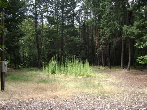 2380 Cedar Flat Rd, Williams, OR 97544 photo 7