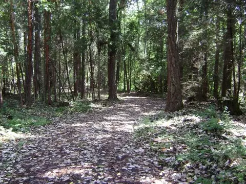 2380 Cedar Flat Rd, Williams, OR 97544 photo 2