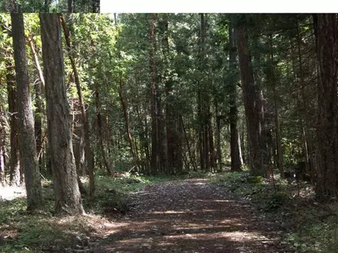 2380 Cedar Flat Rd, Williams, OR 97544 photo 3