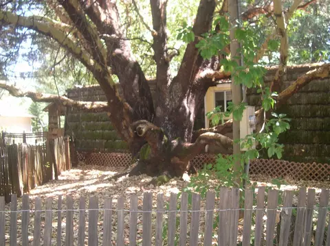 125 N Boundary Ave, Cave Junction, OR 97523 photo 1