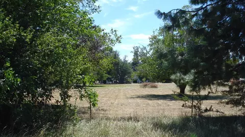135 Norman Rd, Selma, OR 97538 photo 4
