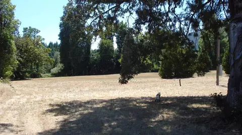 135 Norman Rd, Selma, OR 97538 photo 14