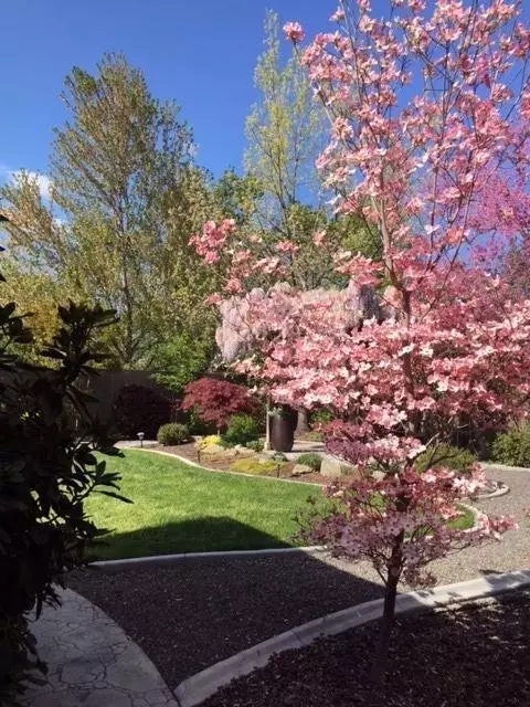 672 Ridgeway Ave, Central Point, OR 97502 photo 31