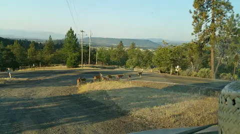 600 Leafwood Dr, Eagle Point, OR 97524 photo 34