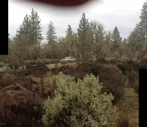 1058 Derby Rd, Butte Falls, OR 97524 photo 10