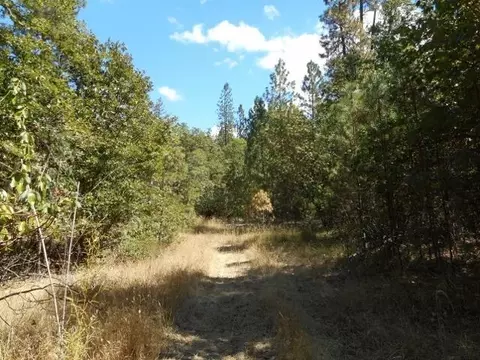 542 Tetherow Rd, Williams, OR 97544 photo 3