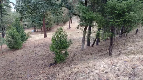 253 Wren Ridge Dr, Eagle Point, OR 97524 photo 34