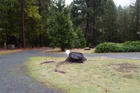 1920 Crow Rd, Merlin, OR 97532 photo 4