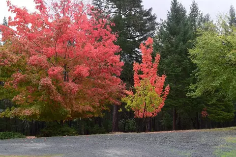 1920 Crow Rd, Merlin, OR 97532 photo 3