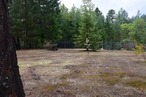 1920 Crow Rd, Merlin, OR 97532 photo 7