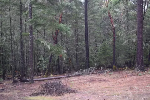 1920 Crow Rd, Merlin, OR 97532 photo 10