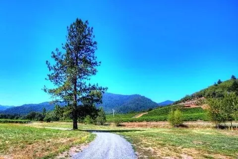 3103 Evans Crk, Rogue River, OR 97537 photo 25
