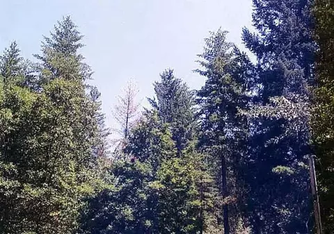 6633 W Side Rd, Cave Junction, OR 97523 photo 3