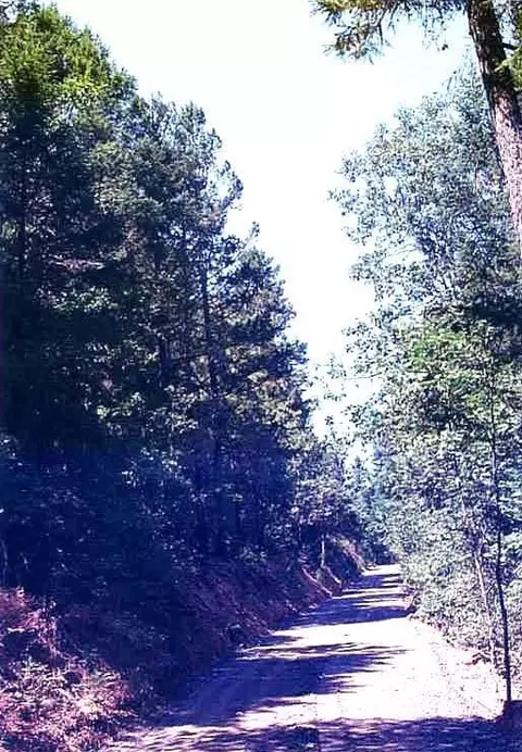 6633 W Side Rd, Cave Junction, OR 97523 photo 1