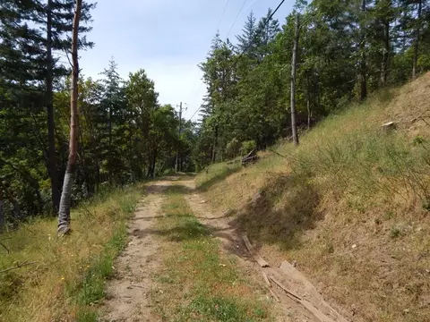 3355 Humbug Creek Rd, Applegate, OR 97530 photo 33