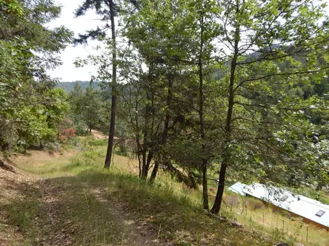 3355 Humbug Creek Rd, Applegate, OR 97530 photo 31