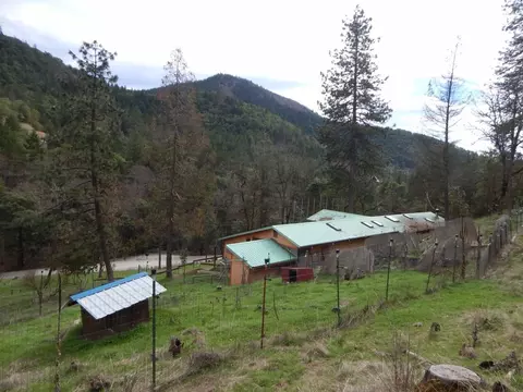 3355 Humbug Creek Rd, Applegate, OR 97530 photo 30