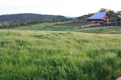 16550 Highway 62, Eagle Point, OR 97524 photo 18