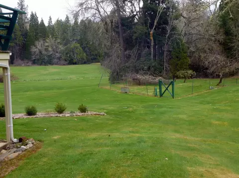 151 Greenview Dr, Cave Junction, OR 97523 photo 10