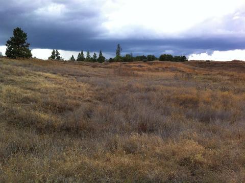 160 Nick Young Rd, Eagle Point, OR 97524 photo 6