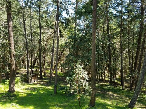4795 Rogue River Dr, Eagle Point, OR 97524 photo 16