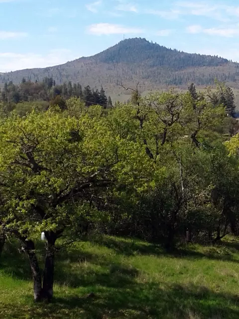 6533 Shadow Glen Dr, Eagle Point, OR 97524 photo 16