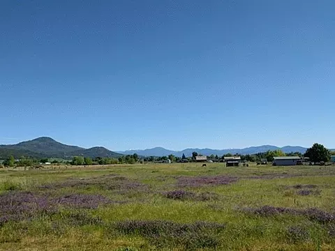 3080 Corey Rd, Central Point, OR 97502 photo 11