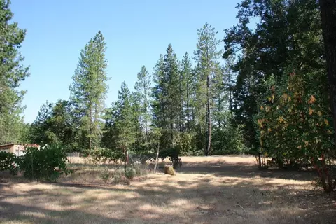 100 Sherier Rd, Cave Junction, OR 97523 photo 28