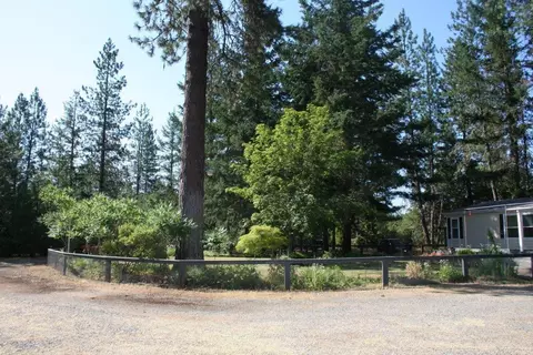 100 Sherier Rd, Cave Junction, OR 97523 photo 6