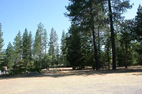 100 Sherier Rd, Cave Junction, OR 97523 photo 31
