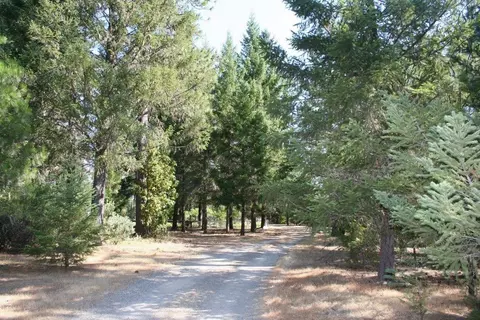 100 Sherier Rd, Cave Junction, OR 97523 photo 18