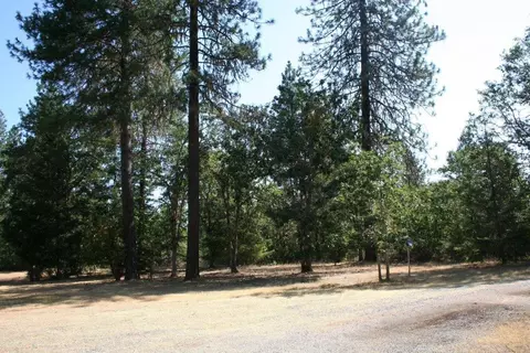 100 Sherier Rd, Cave Junction, OR 97523 photo 30