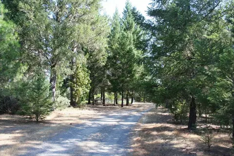 100 Sherier Rd, Cave Junction, OR 97523 photo 17