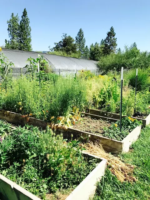 970 Cedar Flat Rd, Williams, OR 97544 photo 18