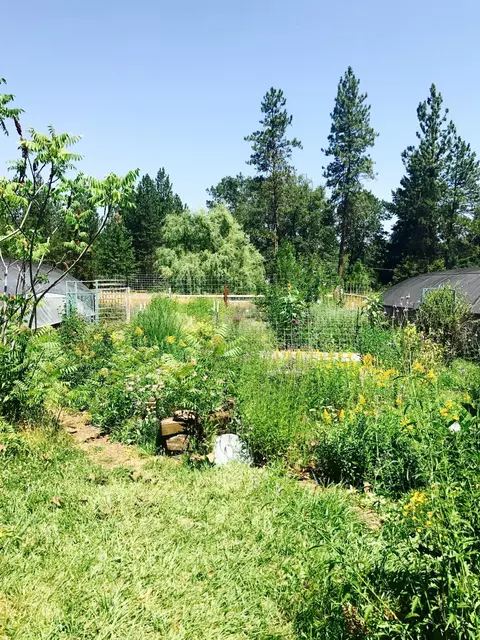 970 Cedar Flat Rd, Williams, OR 97544 photo 25