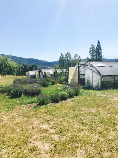 970 Cedar Flat Rd, Williams, OR 97544 photo 13