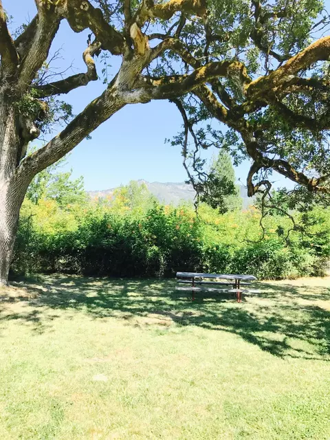 970 Cedar Flat Rd, Williams, OR 97544 photo 3