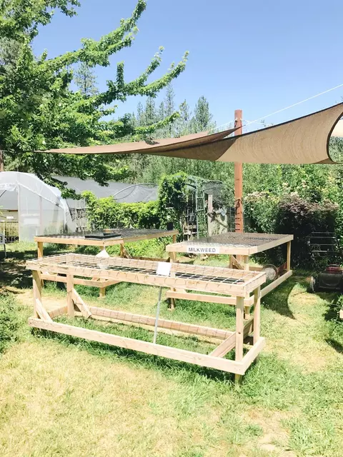 970 Cedar Flat Rd, Williams, OR 97544 photo 23
