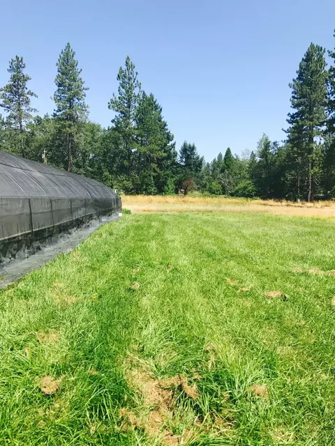 970 Cedar Flat Rd, Williams, OR 97544 photo 11